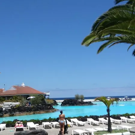 Girasol Puerto de la Cruz (Tenerife)
